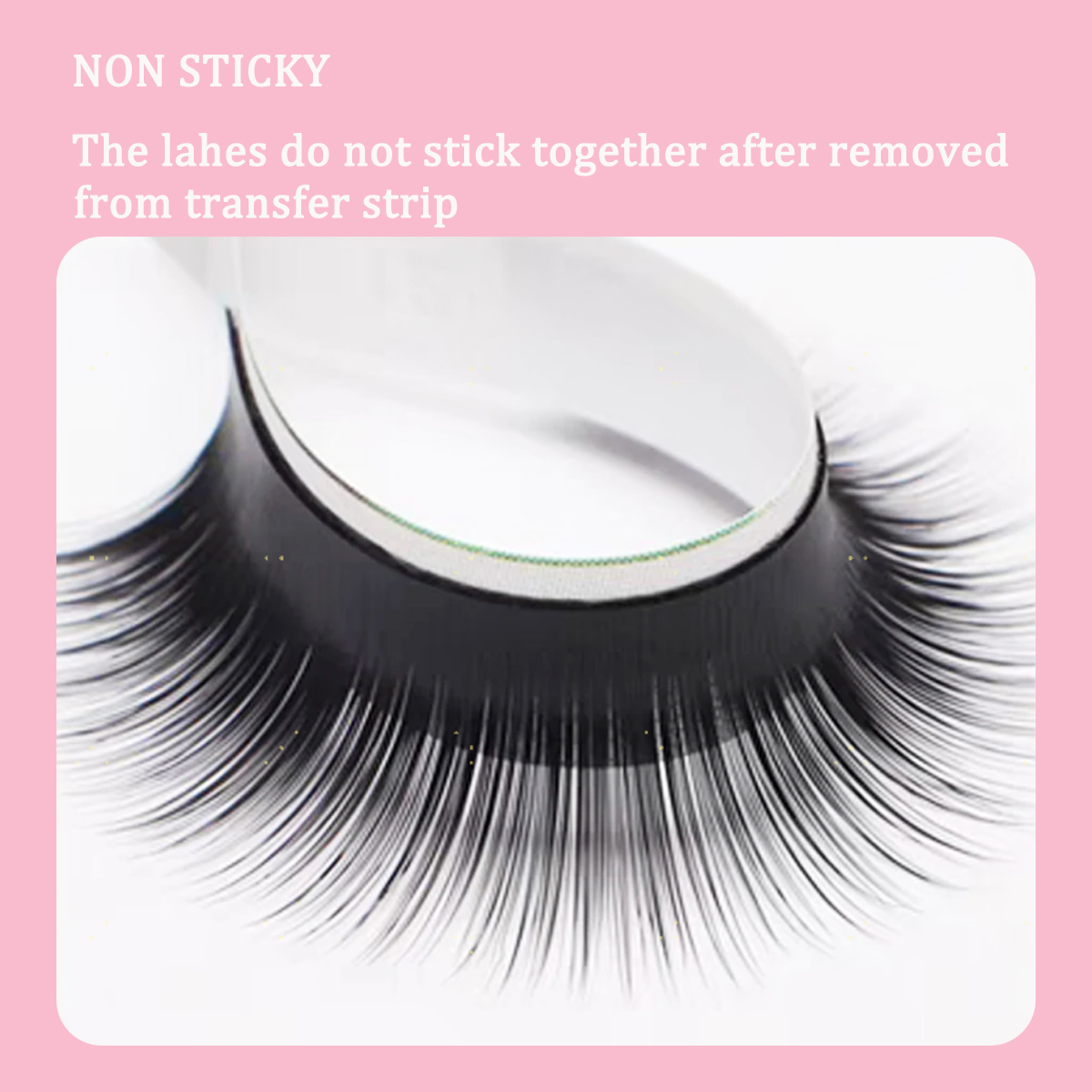 Camellia False Eyelashes LC LB - Eyelash Extension Wet Look recension och pris